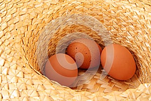 Eggs