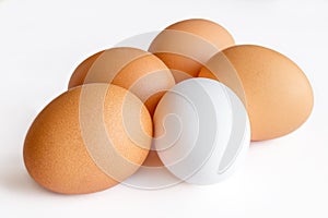 Eggs