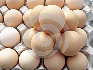 Eggs