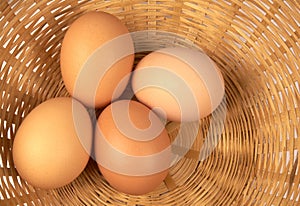 Eggs