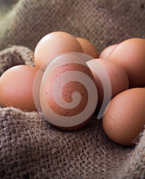 Eggs