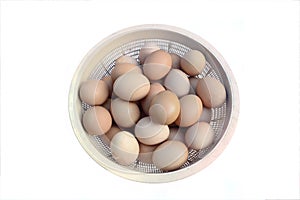 Eggs