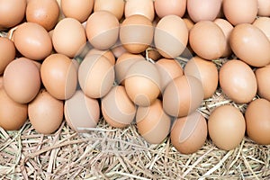 Eggs