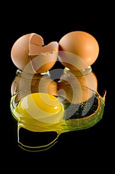 Eggs