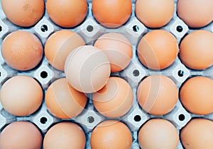 Eggs