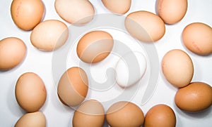 Eggs