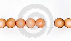 Eggs