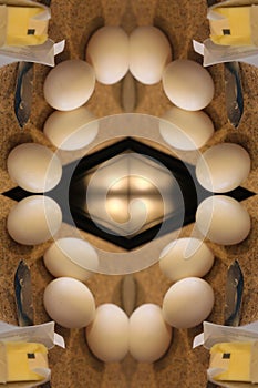 Eggs 9816cfrctla sml