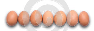 Eggs aligned in a row on panoramic background photo
