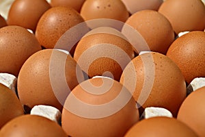 Eggs arranged in a tray for the cooking