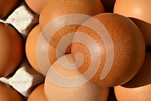 Eggs arranged in a tray for the cooking