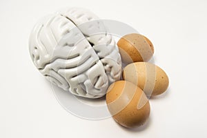 Eggs as food for the brain. The figure of the human brain and chicken eggs lie side by side on a white background, symbolizing hea