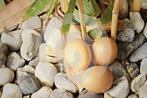 Eggs on a background of stone at the park