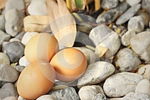 Eggs on a background of stone at the park