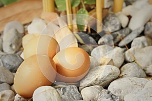 Eggs on a background of stone at the park