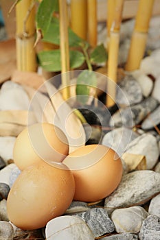 Eggs on a background of stone at the park