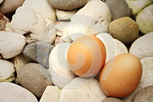 Eggs on a background of stone at the park