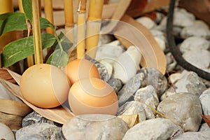 Eggs on a background of stone at the park