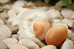 Eggs on a background of stone at the park