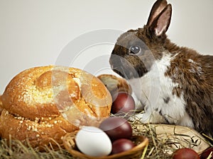 Eggs and bakery product on hay with little rabbit on white background