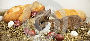 Eggs and bakery products on hay with little rabbit on white background