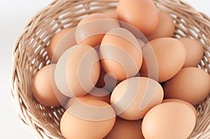 Eggs in the basket02