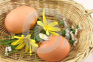 Eggs in a basket