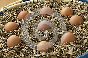 Eggs in a basket with dried henna leaves
