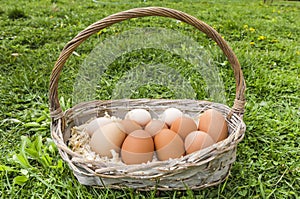 Eggs in basket