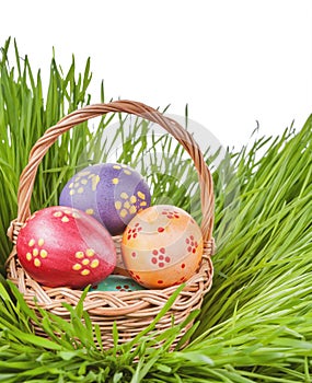 Eggs in basket on green grass isolated. easter concept