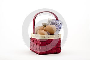 Eggs in basket with money