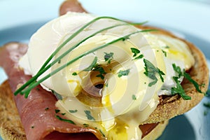 Eggs Benedict photo