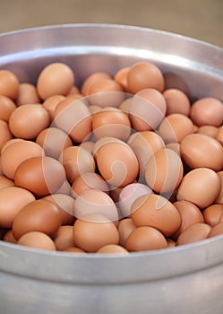 Eggs in big pot prepare for boiling