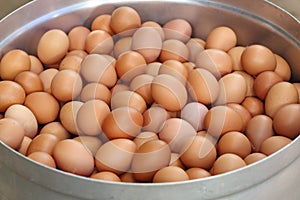 Eggs in big pot prepare for boiling