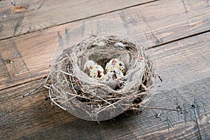 eggs in bird nest on wooden background