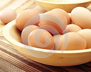 Eggs in birds nest