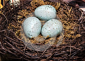 Eggs in Birds Nest in decorative white dish.  Three Green Easter Eggs with rustic look