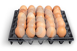 Eggs in black plastic carton packaging