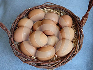 Eggs in blue background photo