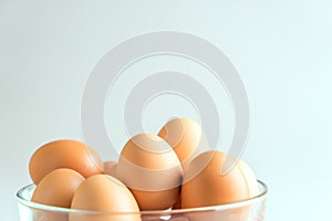 Eggs in a bowl on a white background.