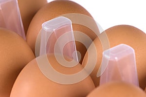 Eggs in box