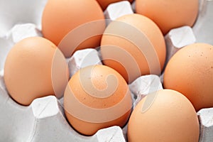 Eggs in box