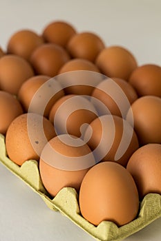 eggs in box photo