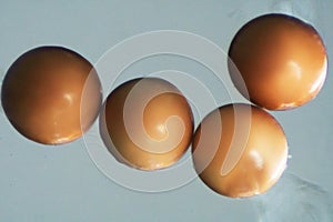 Eggs of brine shrimp under microscope.