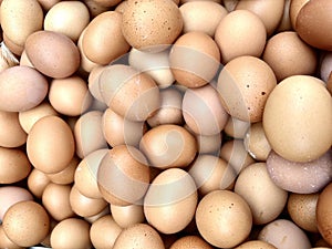 Eggs in bucket ready to sell