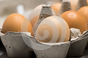 Eggs in cardboard