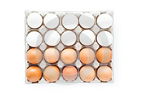 Eggs in a cardboard, clipping path