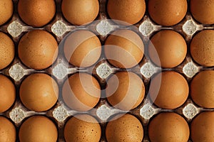Eggs in a cardboard package. Chicken eggs in cells