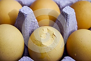 Eggs in carton