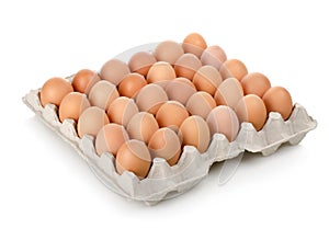 Eggs in a carton